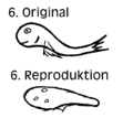 Telepathie 6.png